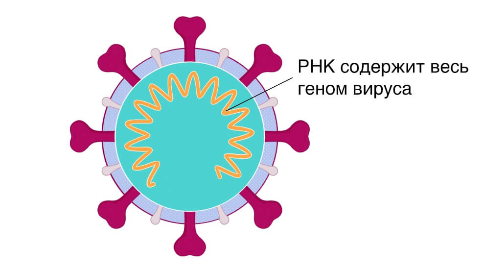 Рабочее зеркало кракен