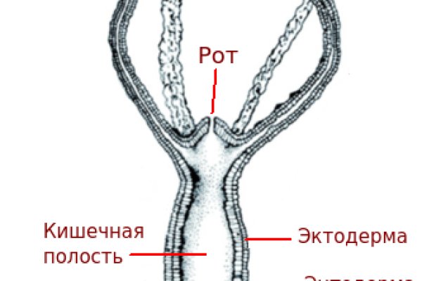 Kraken что это за магазин